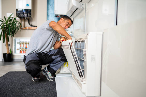Best Dryer Vent Cleaning Services  in Hannahs Mill, GA